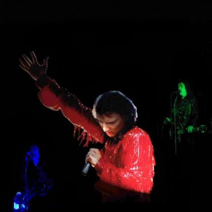 Diamond Nights - Neil Diamond Tribute 